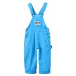 画像3: OVERALLS (3)